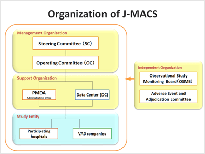 Organization of J-MACS