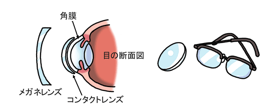 目の断面図などのイメージ