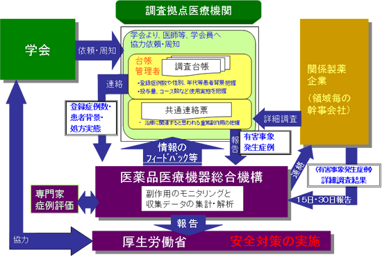 抗がん剤併用療法実態把握調査概念図