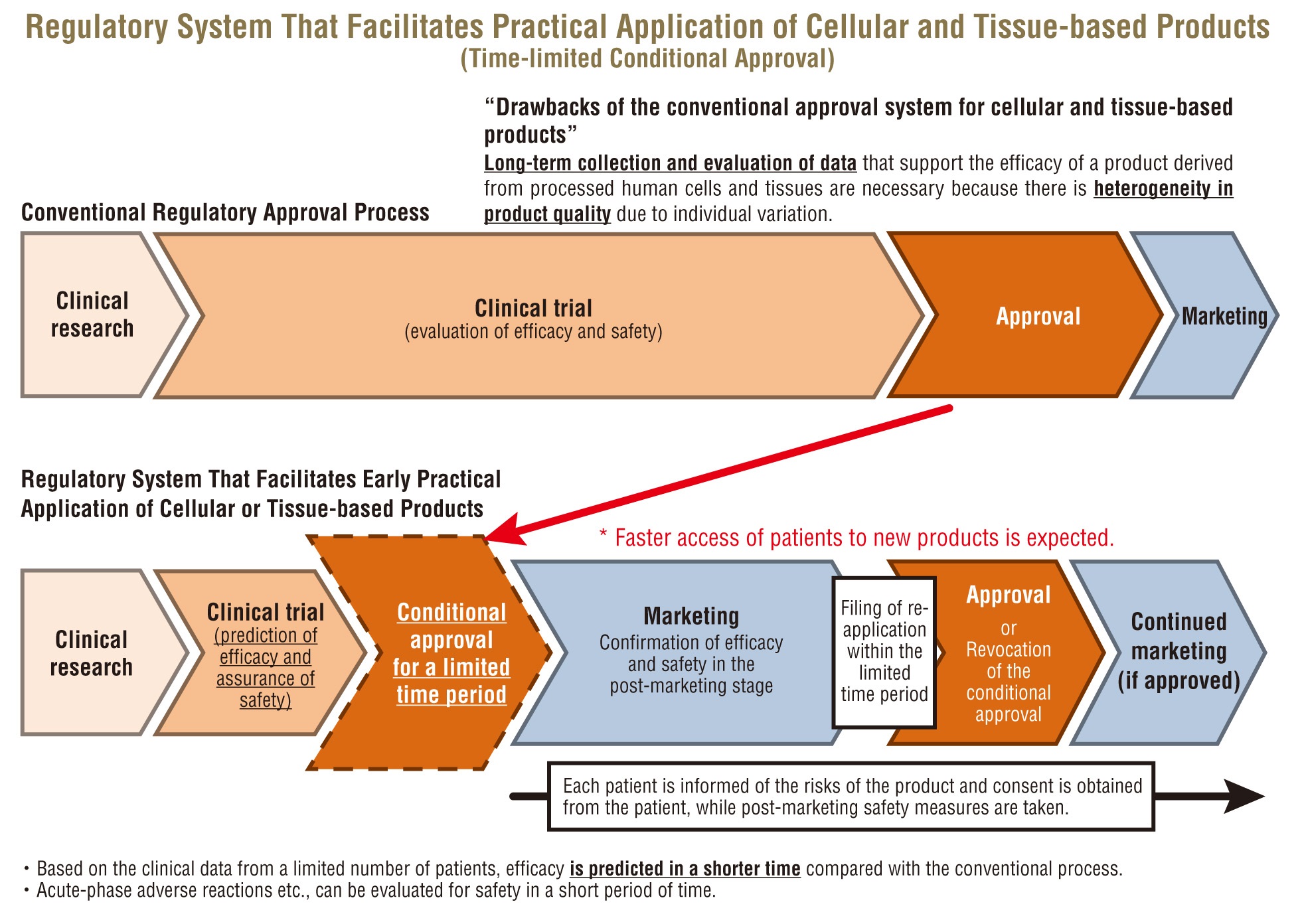 Regulatory System That Facilitates Practical Application of Cellular and Tissue-based Products