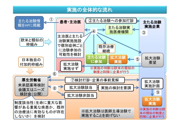 実施の全体的な流れ