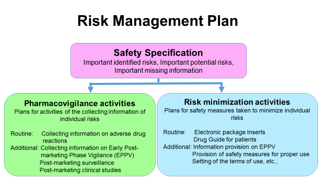 Outline of Risk Management Plan