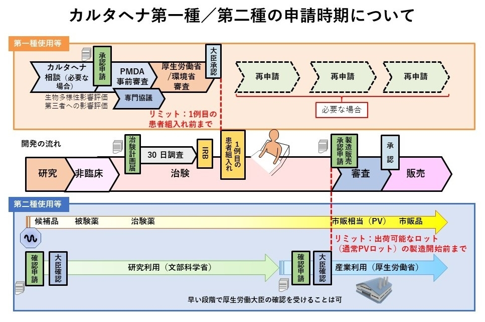 カルタへナ第一種又は第二種の申請時期の模式図。第一種は治験の1例目の患者組入れまで、第二種は出荷可能なロットの製造開始までに大臣承認又は確認を受ける必要がある。